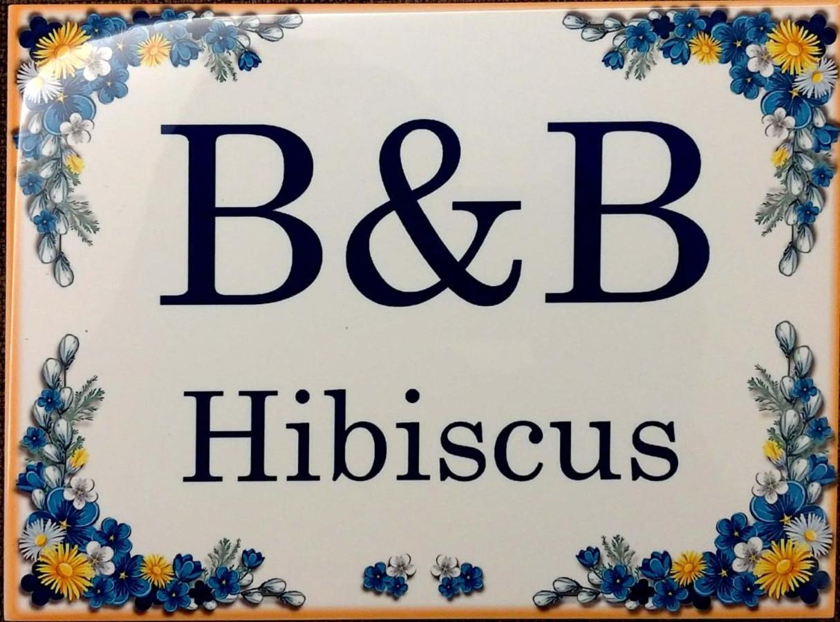 B&B Hibiscus Porto SantʼElpidio Eksteriør bilde